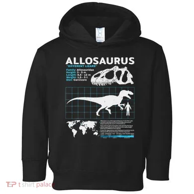 Toddler Hoodie