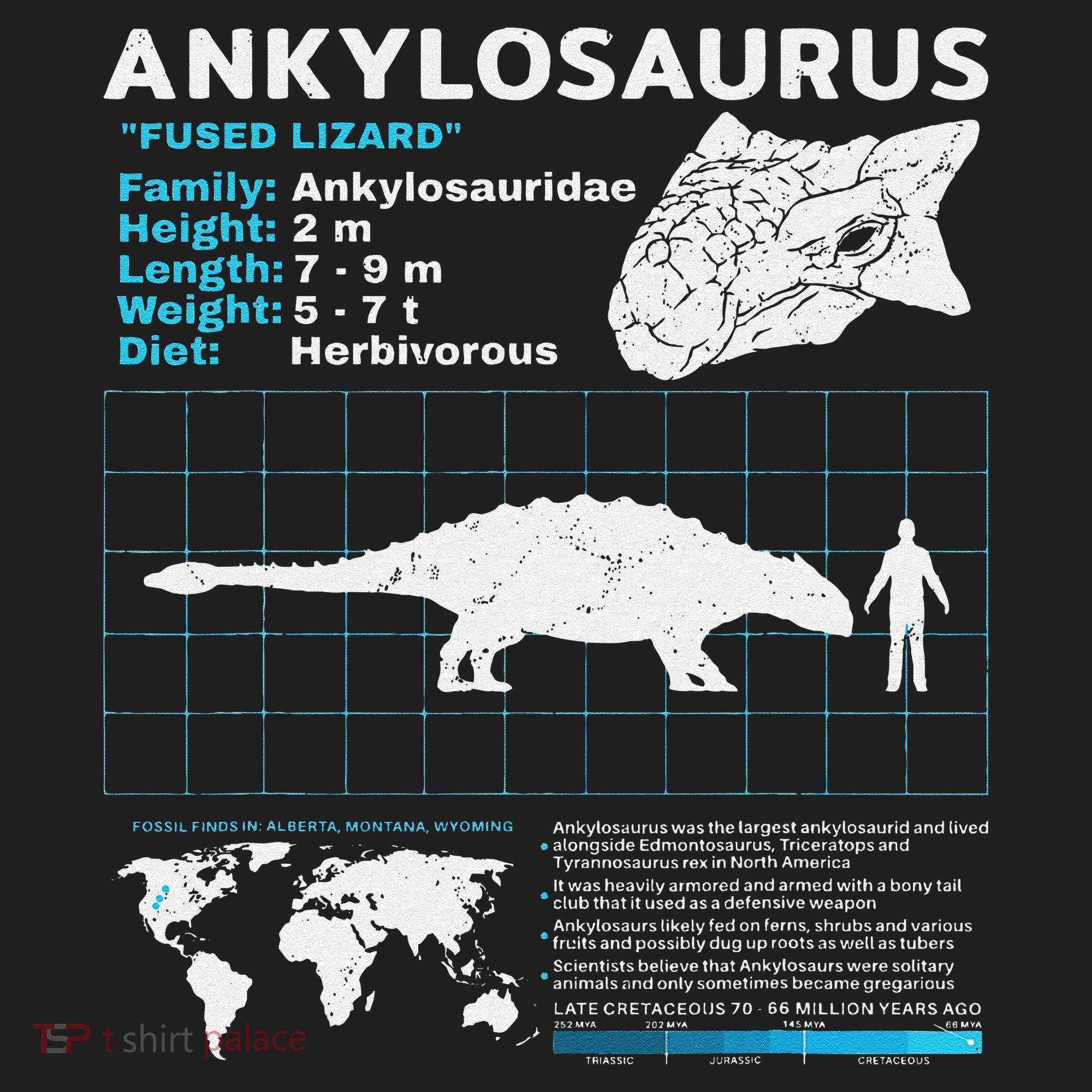 Ankylosaurus fact sheet Dinosaur Facts Gift Women's Sweatshirt