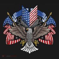 American Flag Shield 4th Of July USA Eagle Patriotic Backpack thumb 2
