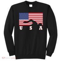 American Flag Swimming Usa Gift Sweatshirt thumb 0