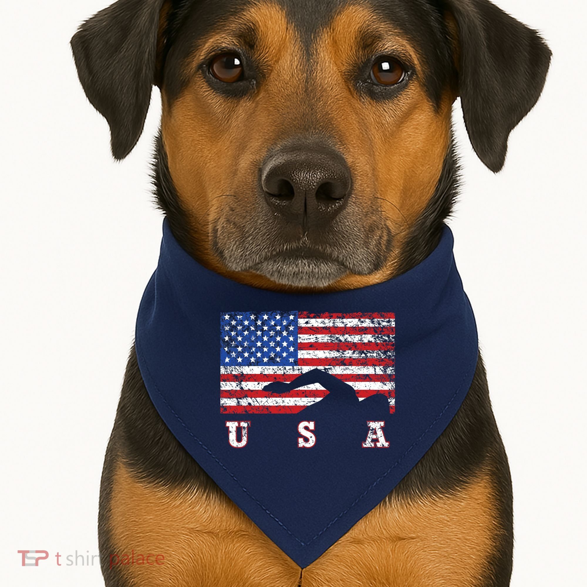 American Flag Swimming USA Gift, Swim Team USA-Made Doggie Bandana