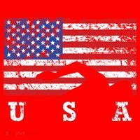 American Flag Swimming USA Gift, Swim Team Santa Hat thumb 1