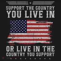 American Flag Support The Country You Live In Usa Hoodie thumb 2