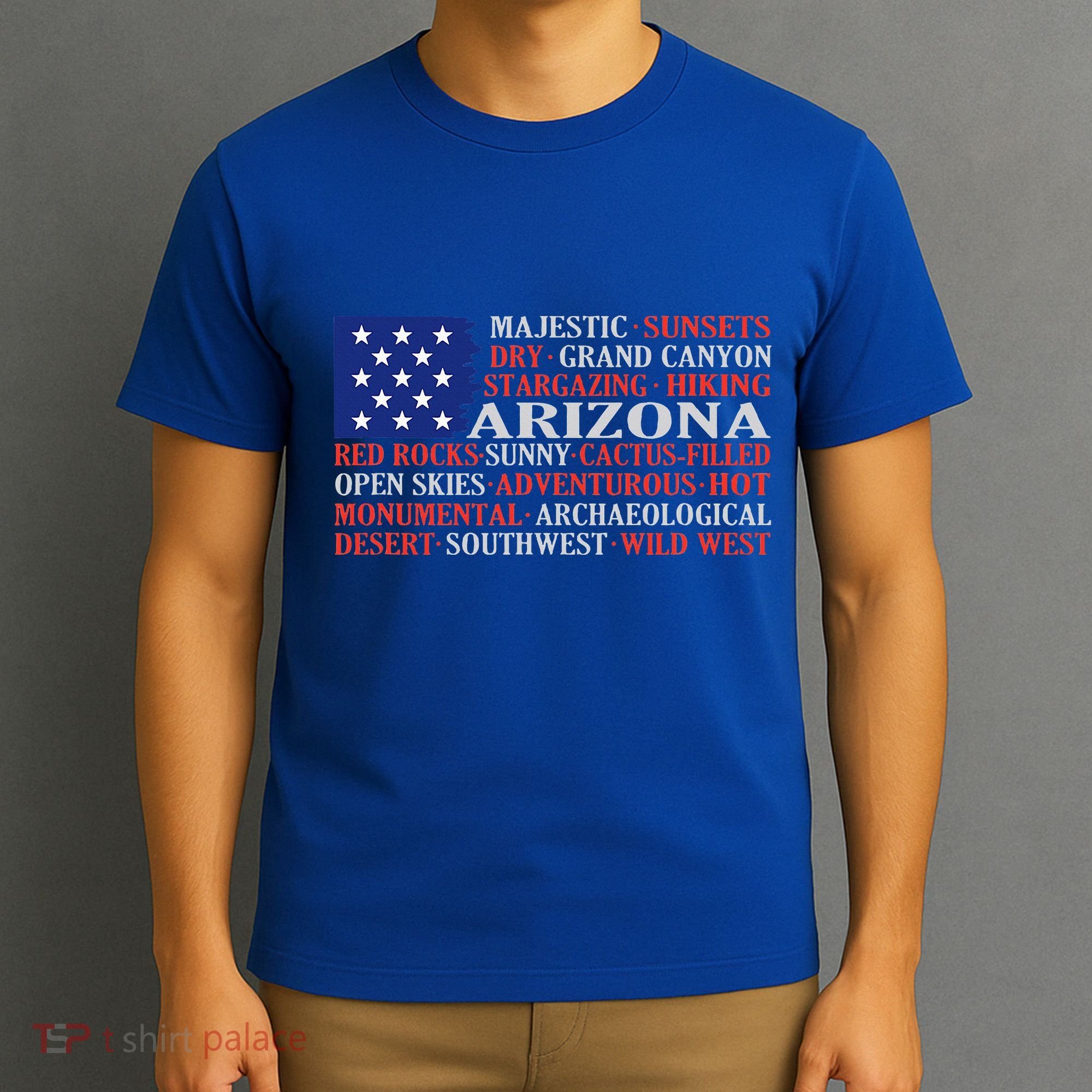 Arizona Flag Showing Some The StateS Best Features T-Shirt
