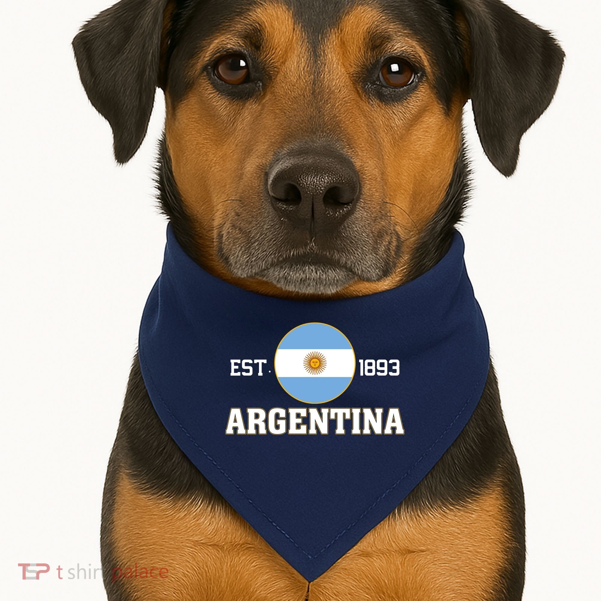 Argentina Flag Sun Emblem Soccer Fans Est 1893 USA-Made Doggie Bandana