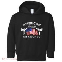 American Freestyle Taekwondo 2 Sides Toddler Hoodie thumb 0