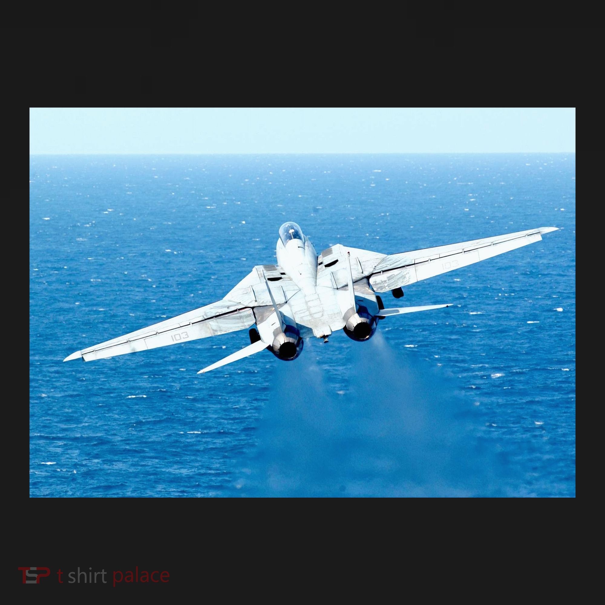 An F14d Tomcat From The Tomcatters Of Fighter Squadron Three One (Vf 31) Toddler Hoodie