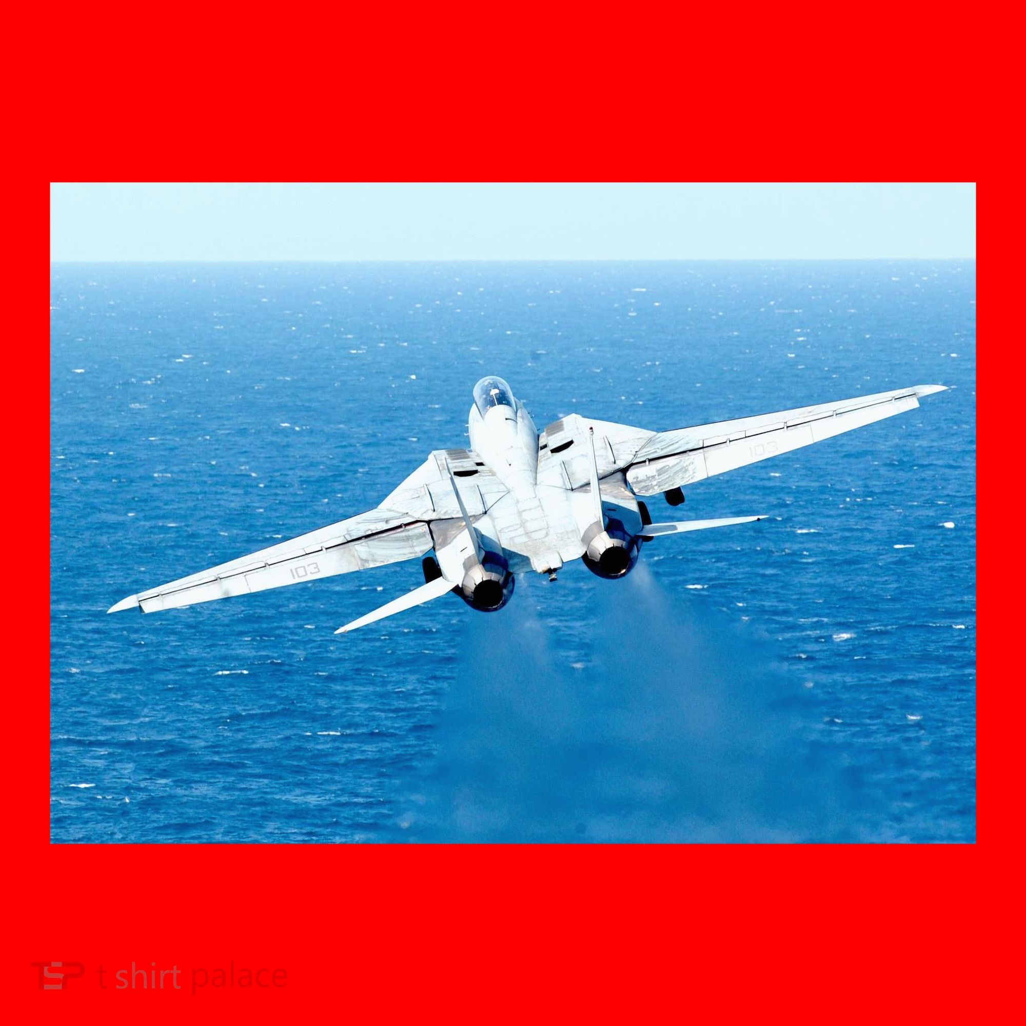 An F14d Tomcat From The Tomcatters Of Fighter Squadron Three One (Vf 31) Santa Hat
