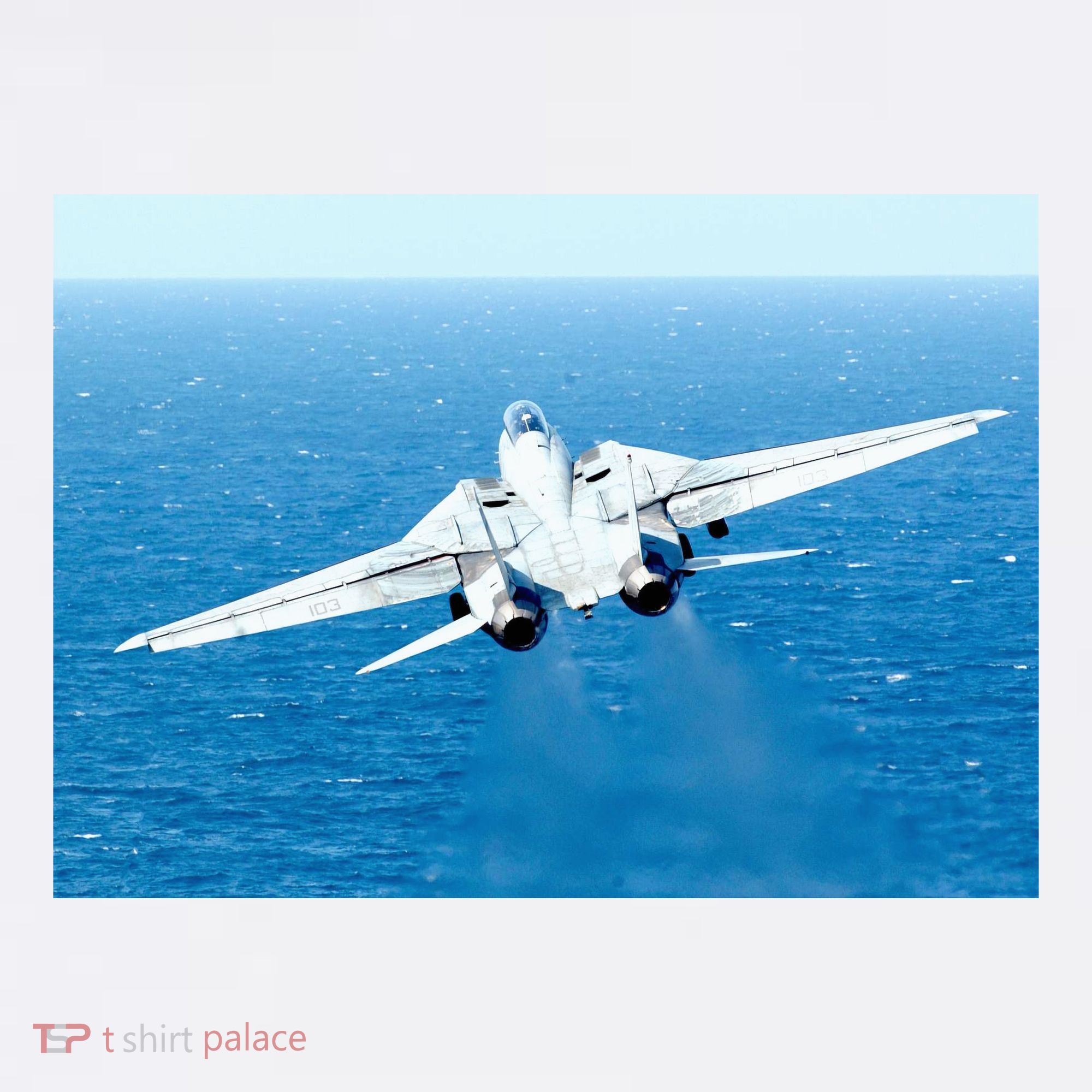An F14d Tomcat From The Tomcatters Of Fighter Squadron Three One (Vf 31) Doggie Tank