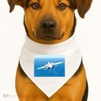 An F14d Tomcat From The Tomcatters Of Fighter Squadron Three One (Vf 31) USA-Made Doggie Bandana thumb 1