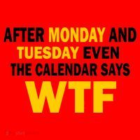 After Monday and Tuesday WTF Santa Hat thumb 1