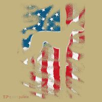 American Flag Usa Patriot Italian Greyhound Dad Mom Dog T-Shirt thumb 7
