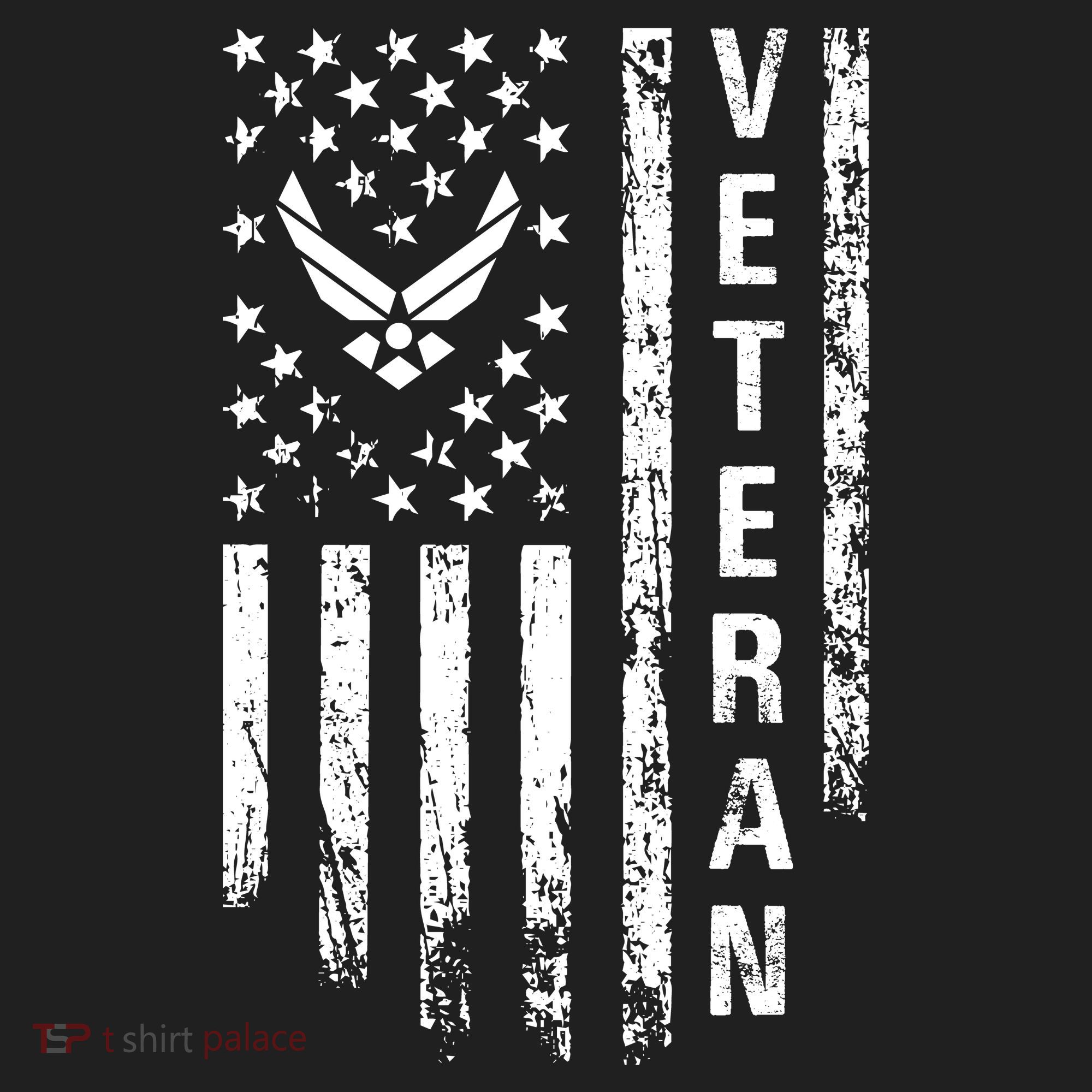 Air Force Veteran Hat