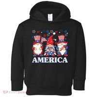 America Gnome 4th Of July Celebration Toddler Hoodie thumb 0