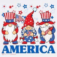 America Gnome 4th Of July Celebration T-Shirt thumb 7