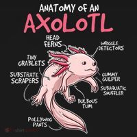 Axolotl Gift Axolotl Stuff Anatomy Of An Axolotl Women's Tank Top thumb 5