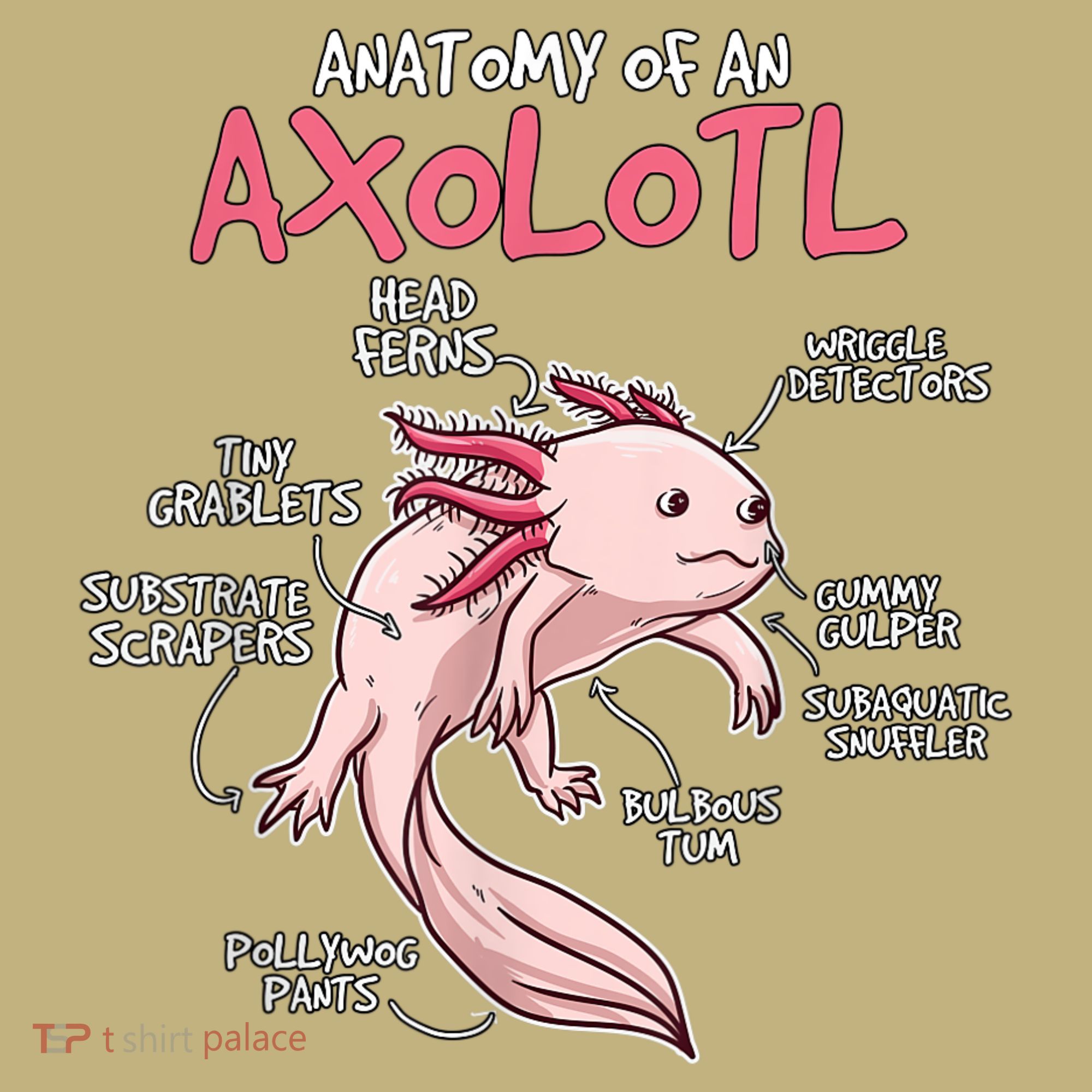 Axolotl Gift Axolotl Stuff Anatomy Of An Axolotl Long Sleeve Shirt