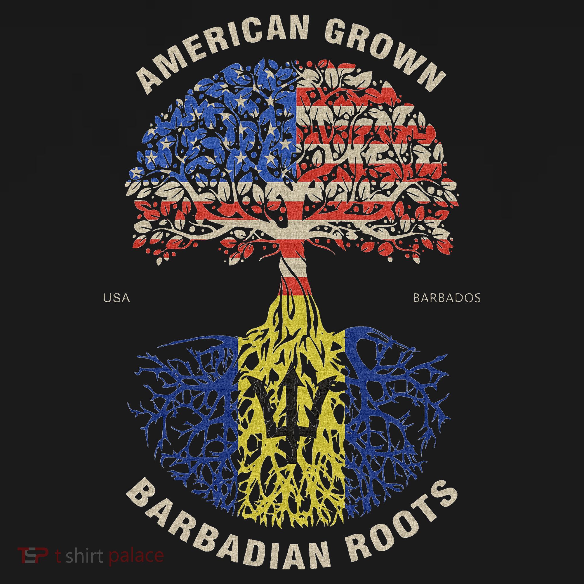 American Grown Barbadian Roots Barbados Flag Women's Hoodie