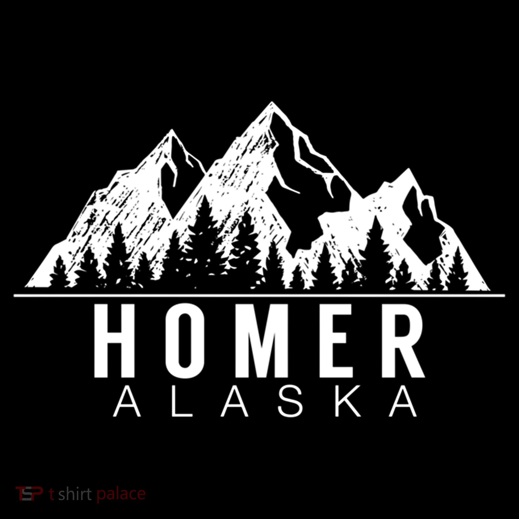 Alaska Gifgift Cool Gift Homer Alaska Gift Women's Hoodie