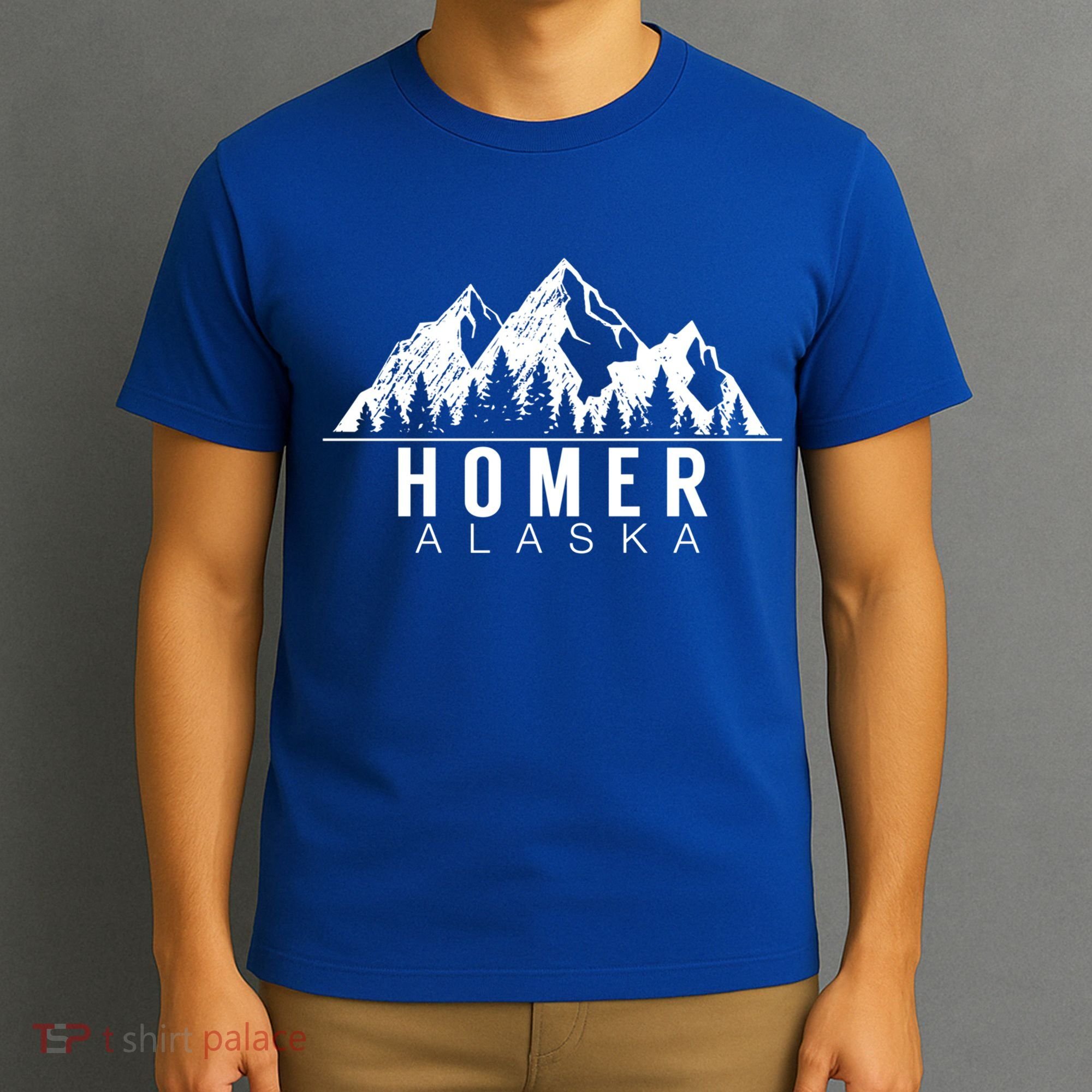 Alaska Gifgift Cool Gift Homer Alaska Gift T-Shirt