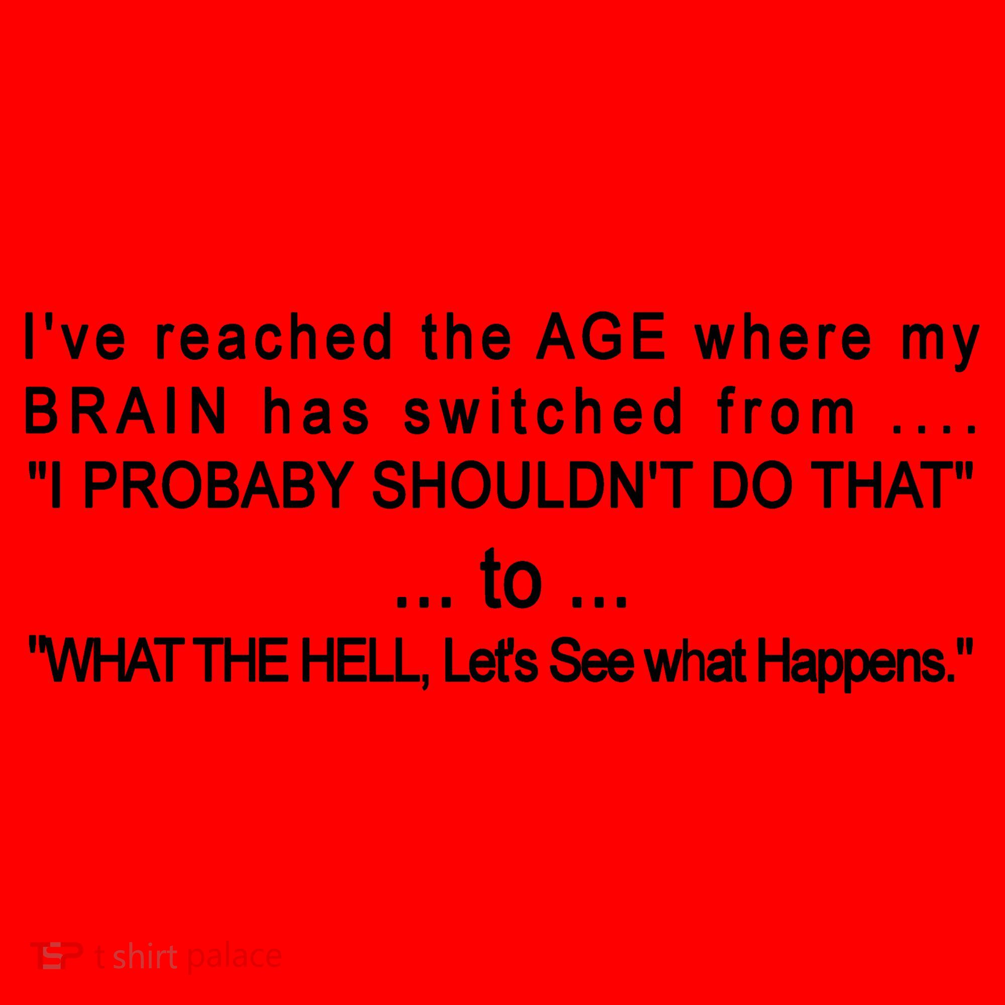 Aged Brain Funny Sarcastic Santa Hat