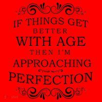 Aged To Perfection Funny Birthday Santa Hat thumb 1
