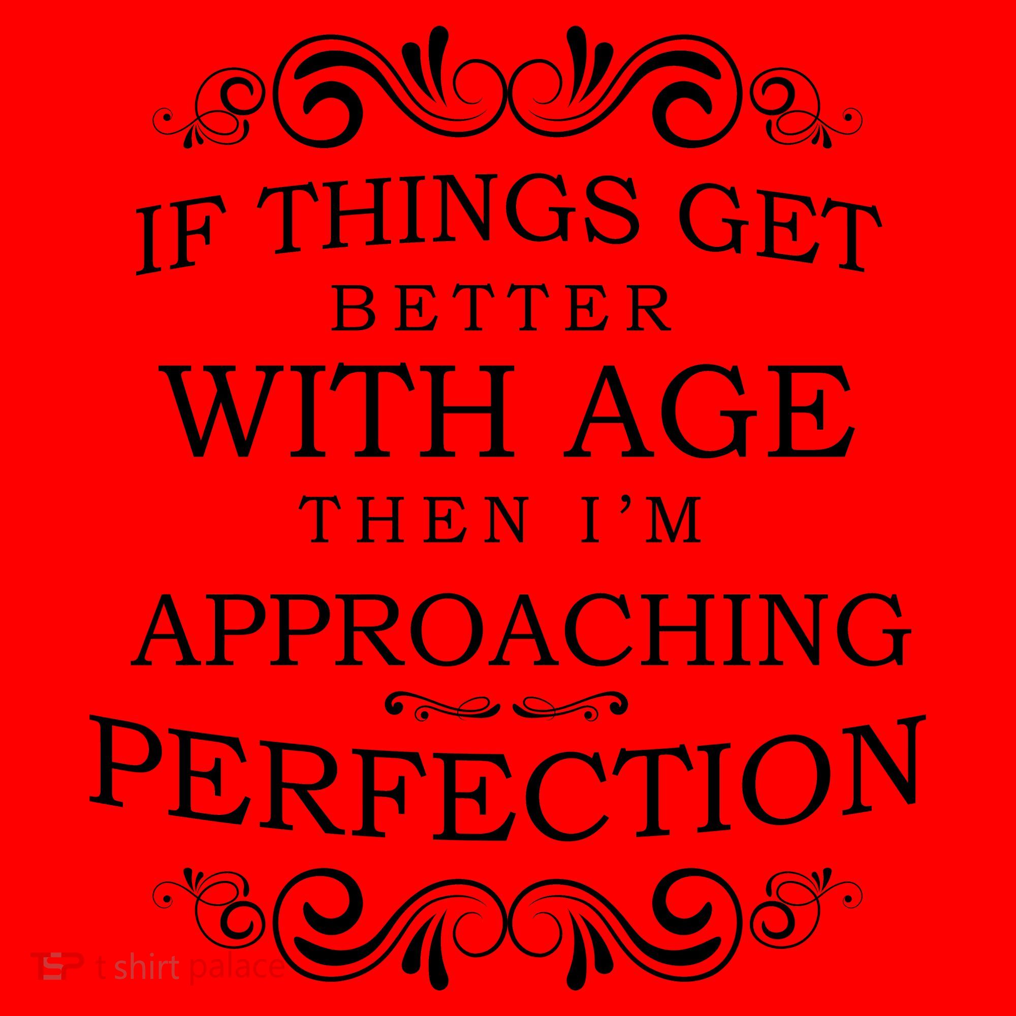 Aged To Perfection Funny Birthday Santa Hat