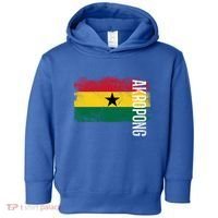 Akropong Ghana Flag Gift For Ghanaians Meaningful Gift Toddler Hoodie thumb 0