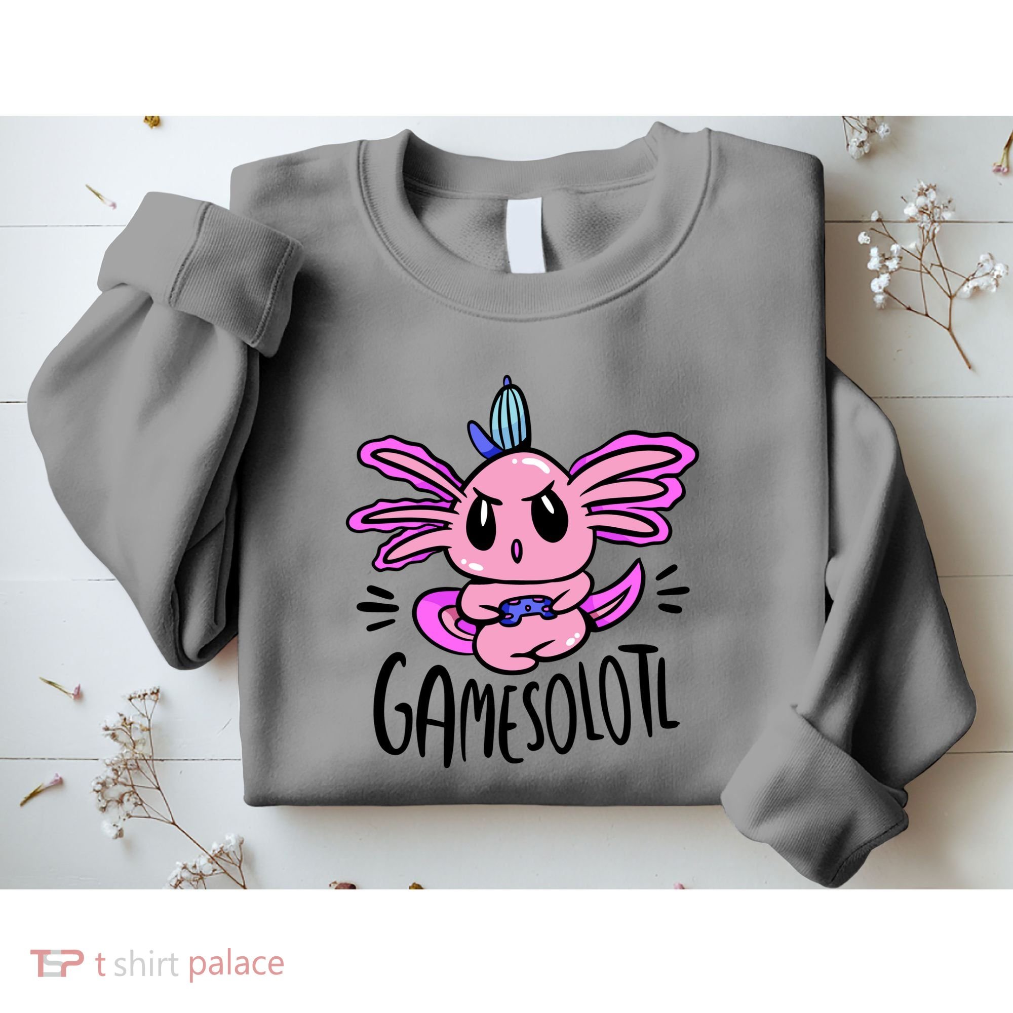 Axolotl Gamesolotl Funny Gamer Video Games Sweatshirt