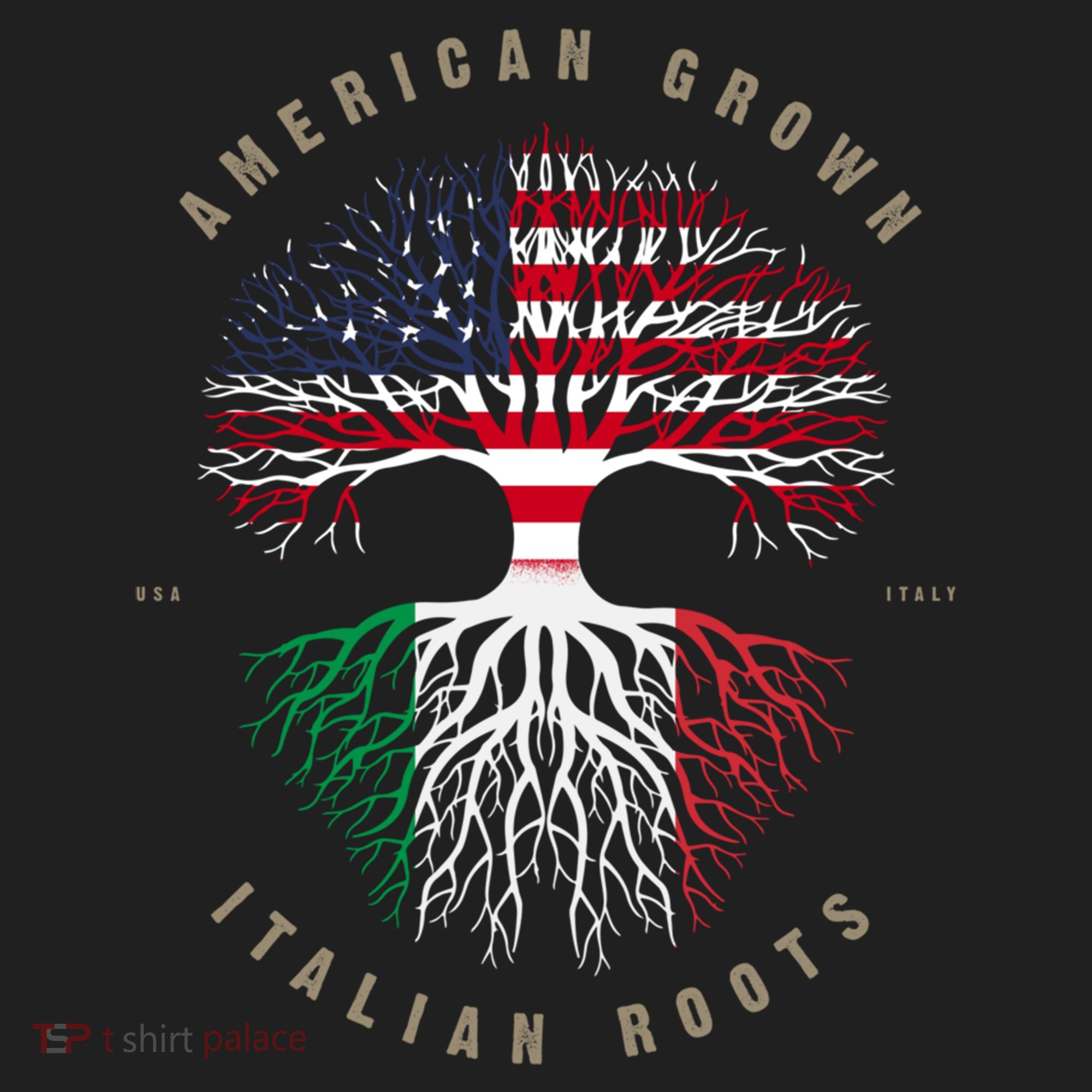 American Grown Italian Roots Italy Flag Gift Beanie