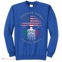 American Grown Italian Roots Italy Flag Gift Sweatshirt thumb 0