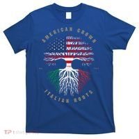 American Grown Italian Roots Italy Flag Gift T-Shirt thumb 0