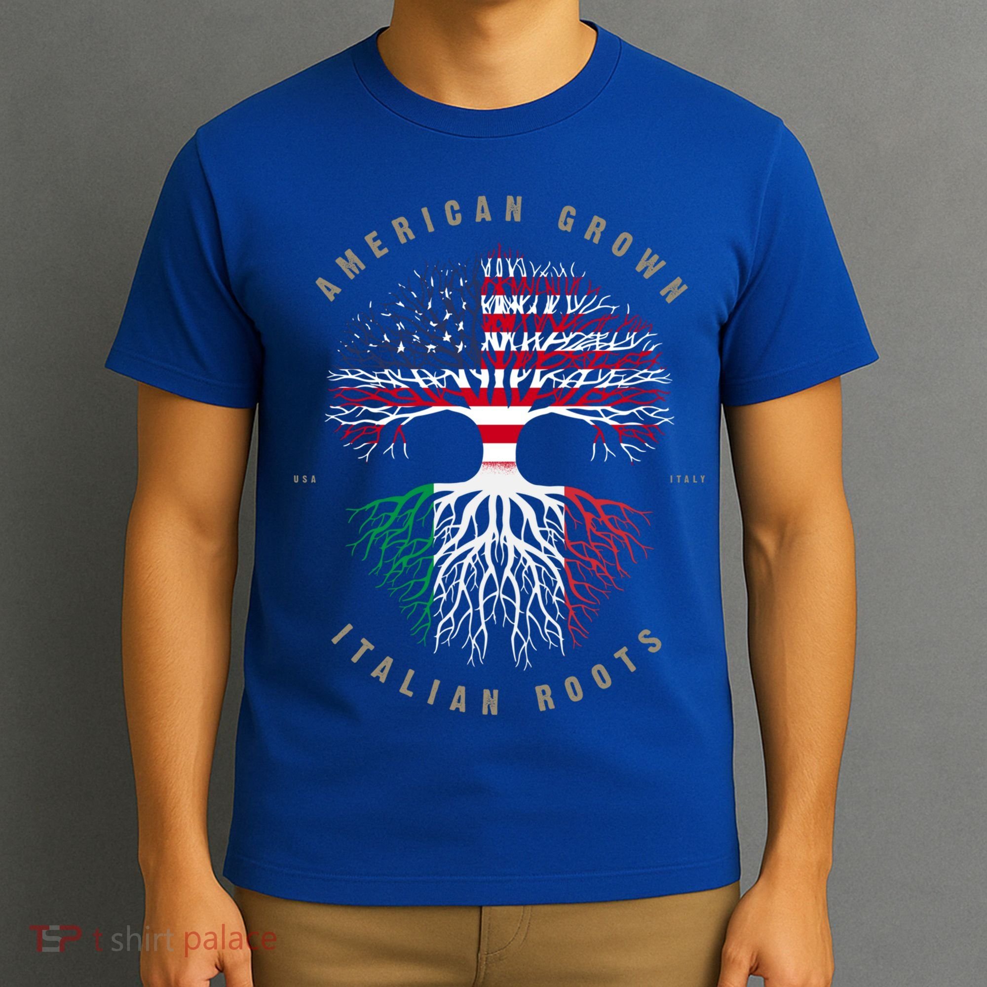 American Grown Italian Roots Italy Flag Gift T-Shirt