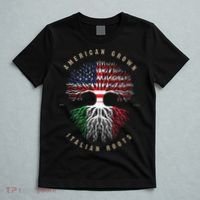 American Grown Italian Roots Italy Flag T-Shirt thumb 5