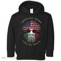 American Grown Italian Roots Italy Flag Toddler Hoodie thumb 0