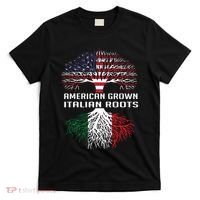 American Grown Italian Roots Italy Flag Proud T-Shirt thumb 0