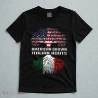 American Grown Italian Roots Italy Flag Proud T-Shirt thumb 5
