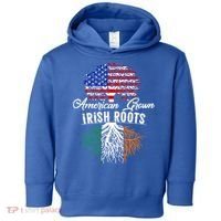American Grown Irish Root Ireland Flag Irish Gift Toddler Hoodie thumb 0
