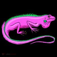 American Green Iguana Lizard Coffee Mug thumb 5