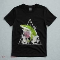 Anole Green Lizard Pet Anoles Reptile Smoke T-Shirt thumb 5