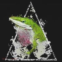 Anole Green Lizard Pet Anoles Reptile Smoke Women's Hoodie thumb 2