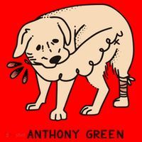 Anthony Green Numb Santa Hat thumb 1