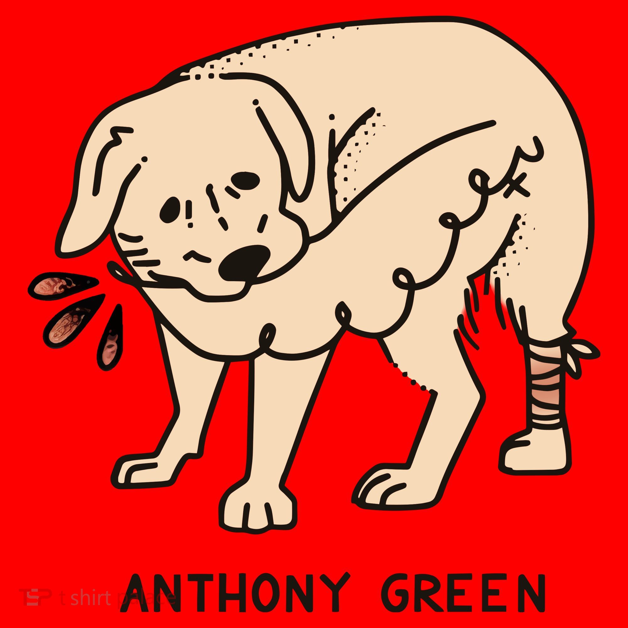 Anthony Green Numb Santa Hat