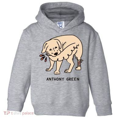 Anthony Green Numb Toddler Hoodie