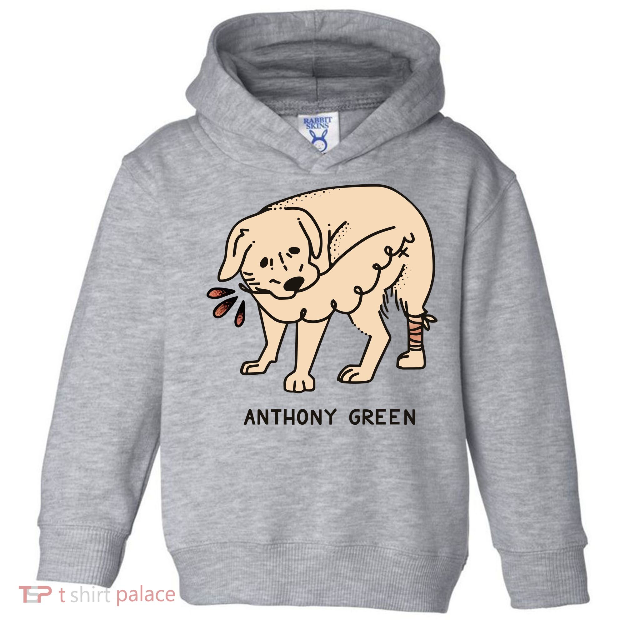 Anthony Green Numb Toddler Hoodie