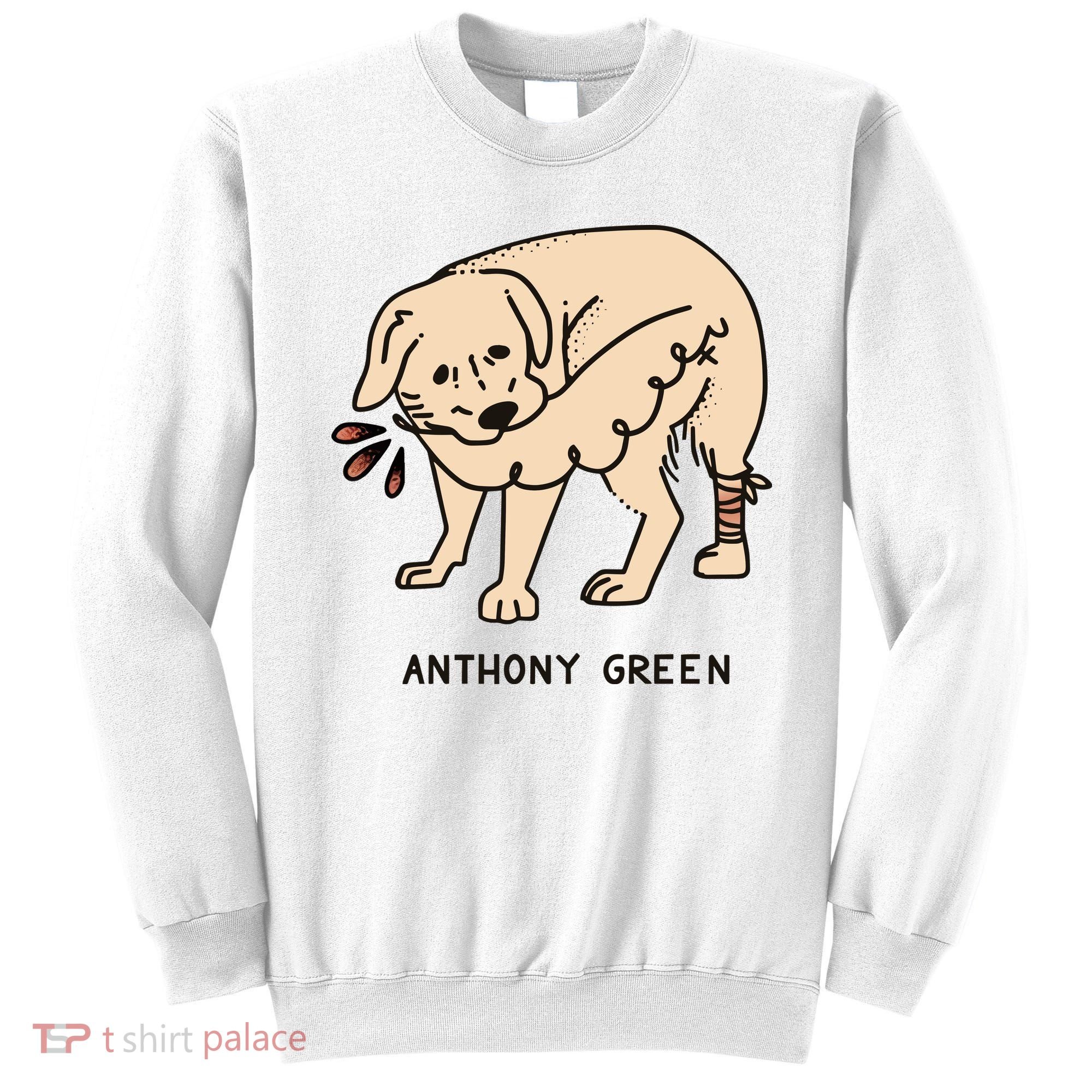 Anthony Green Numb Sweatshirt