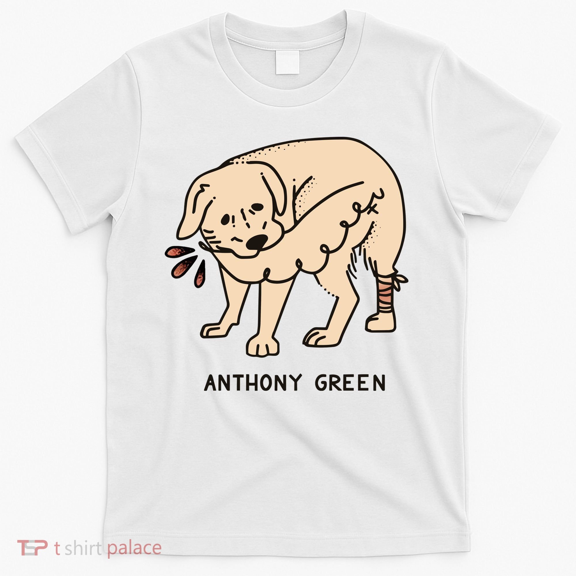 Anthony Green Numb T-Shirt