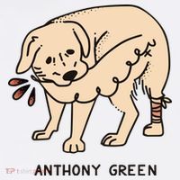 Anthony Green Numb Women's Tank Top thumb 5