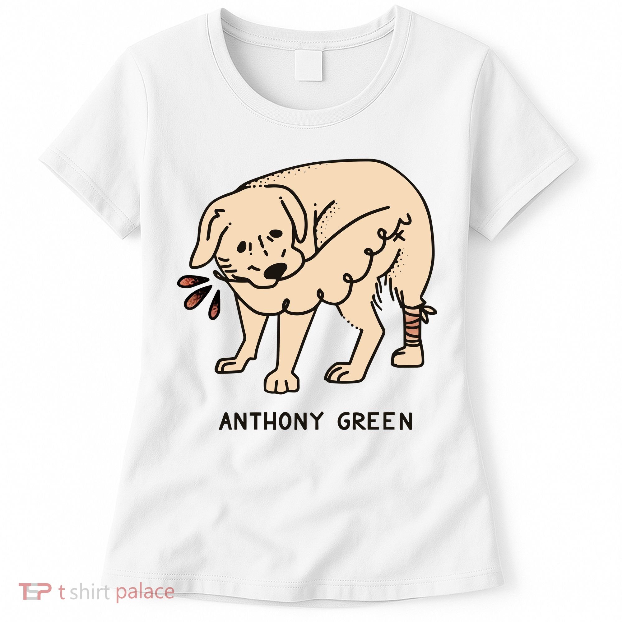 Anthony Green Numb Women's T-Shirt