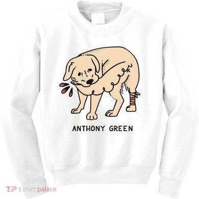 Anthony Green Numb Kids Sweatshirt